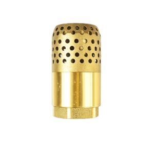 หัวกะโหลกทองเหลือง ยูนิเวอร์แซล